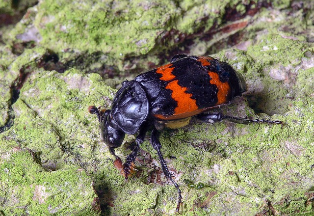 Prissammenligning: Sådan finder du den rigtige bedemand til dit budget