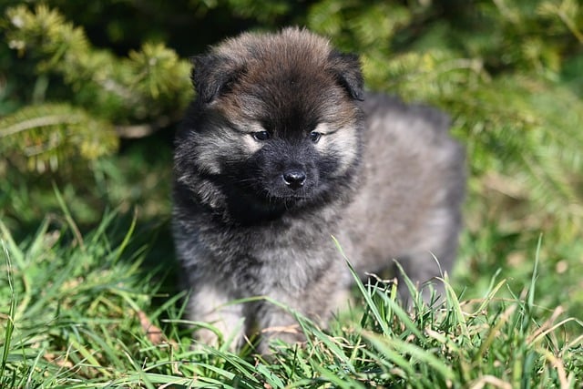 Legens magi: Derfor er fri leg vigtigere end du tror